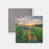 Blumen | Texas Bluebonnets & Indian Paintbrush Magnet (Vorderseite/Rückseite)