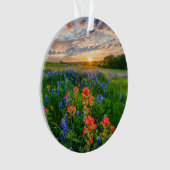 Blumen | Texas Bluebonnets & Indian Paintbrush Ornament (Vorderseite)