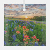 Blumen | Texas Bluebonnets & Indian Paintbrush Ornament Aus Glas (Vorderseite)