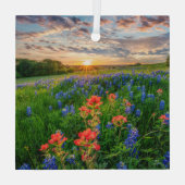 Blumen | Texas Bluebonnets & Indian Paintbrush Ornament Aus Glas (Rückseite)