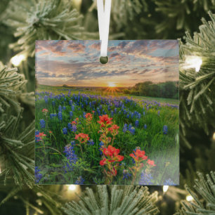 Blumen   Texas Bluebonnets & Indian Paintbrush Ornament Aus Glas