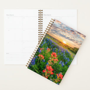 Blumen Texas Bluebonnets & Indian Paintbrush Planer