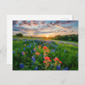Blumen | Texas Bluebonnets & Indian Paintbrush Postkarte (Vorne/Hinten)