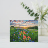 Blumen | Texas Bluebonnets & Indian Paintbrush Postkarte (Stehend Vorderseite)
