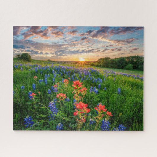 Blumen | Texas Bluebonnets & Indian Paintbrush Puzzle (Horizontal)