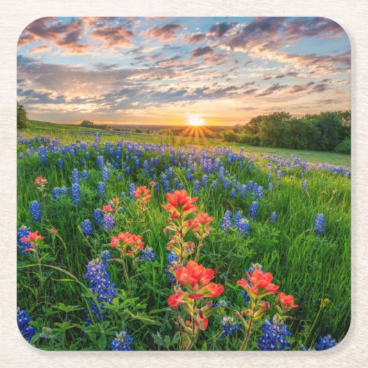 Blumen | Texas Bluebonnets & Indian Paintbrush Rechteckiger Pappuntersetzer (Vorderseite)