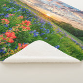 Blumen | Texas Bluebonnets & Indian Paintbrush Sherpadecke (3/4)