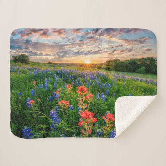 Blumen | Texas Bluebonnets & Indian Paintbrush Sherpadecke (Vorderseite (Horizontal))