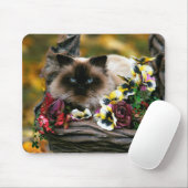 Blumen-Topf-Katze Mousepad (Mit Mouse)