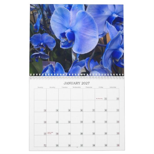 Blumen tragen für 2013 ein kalender (Jan 2027)