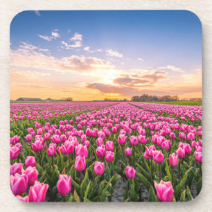 Blumen Tulips South Holland, Niederlande Getränkeuntersetzer