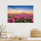 Blumen | Tulips South Holland, Niederlande Poster (Küche)