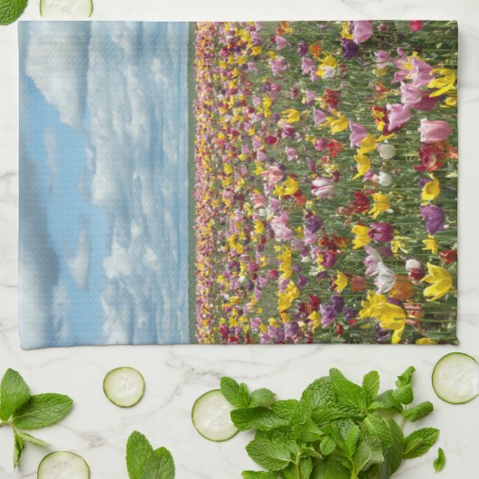 Blumen | Tulips Willamette Valley Oregon Geschirrtuch (Gefaltet)