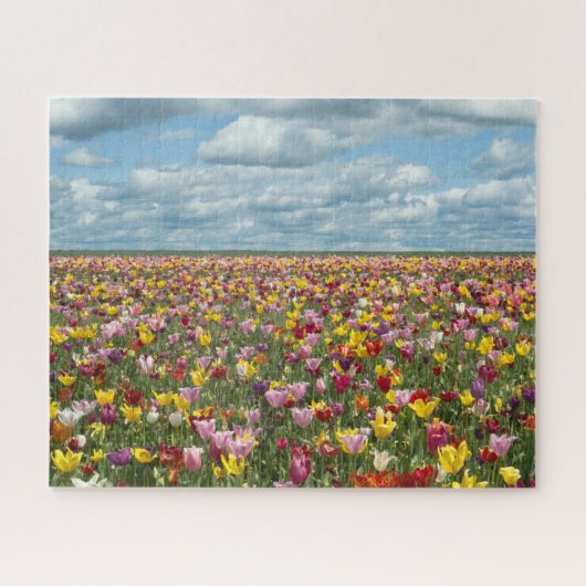 Blumen | Tulips Willamette Valley Oregon Puzzle (Horizontal)