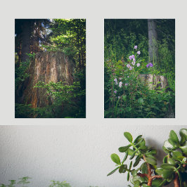 Blumen und ein Baumstumpf im Sommer Wald Bilderwand Sets