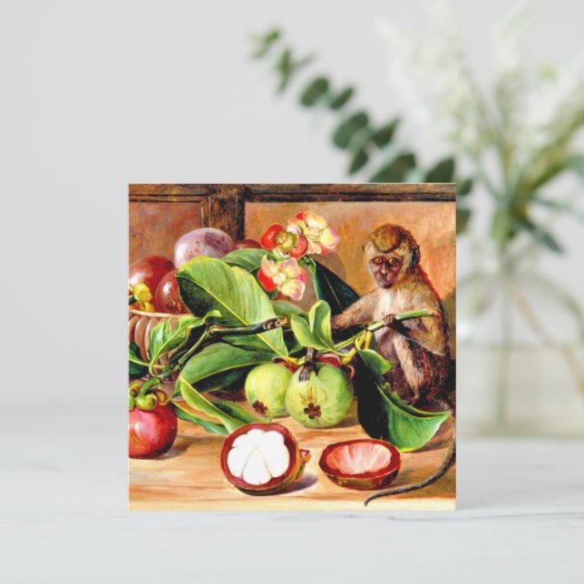 Blumen und Früchte der Mangostane; Singapur-Affe (Stehend Vorderseite)