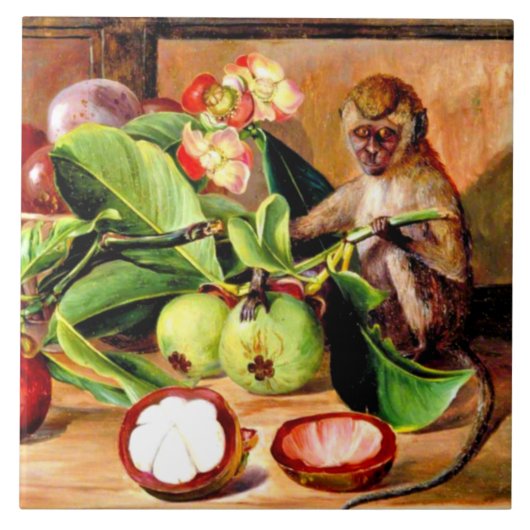 Blumen und Früchte der Mangostane; Singapur-Affe Fliese (Vorderseite)