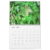 Blumen und Insekten Kalender (Mär 2026)