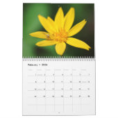 Blumen und Insekten Kalender (Feb 2026)