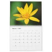 Blumen und Insekten Kalender (Feb 2027)