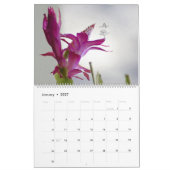 BLUMEN- UND SCHATTENFEEN-KALENDER 2026 KALENDER (Jan 2027)
