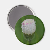 Blumen und Wassertropfen Magnet (Vorderseite/Rückseite)