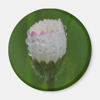 Blumen und Wassertropfen Magnet