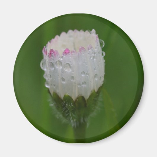 Blumen und Wassertropfen Magnet (Vorne)