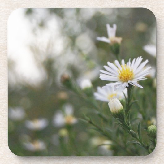 Blumen Untersetzer (Vorderseite)