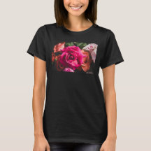 Blumen Vibrante rosa Rosenblüten-Fotografie 