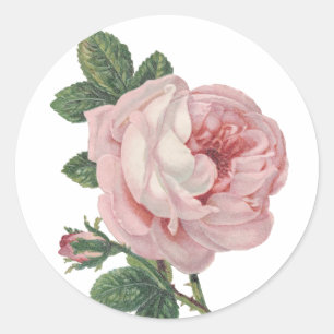 Blumen-Vintage-Rose - Hochzeitsfeier Runder Aufkleber