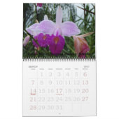 Blumen von Costa Rica Kalender (Mär 2027)