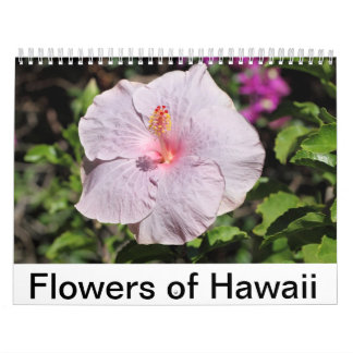 Blumen von Hawaii Kalender