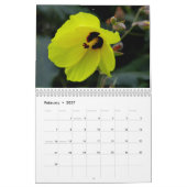 Blumen von Hawaii Kalender (Feb 2027)