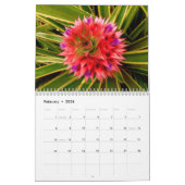 Blumen von Hawaii Kalender (Feb 2026)