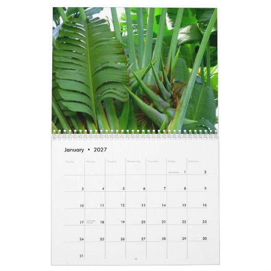 Blumen von Hawaii Kalender (Jan 2027)