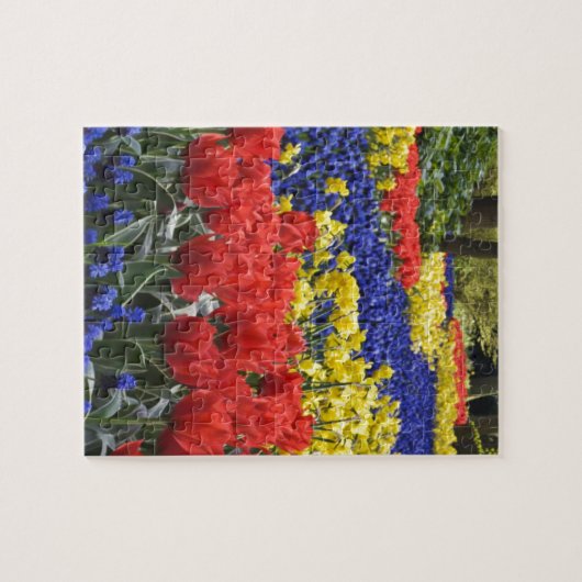 Blumen von Holland, Keukenhof Puzzle (Horizontal)