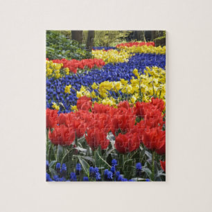 Blumen von Holland, Keukenhof Puzzle