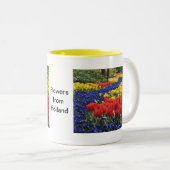 Blumen von Holland, Keukenhof Zweifarbige Tasse (VorderseiteRechts)