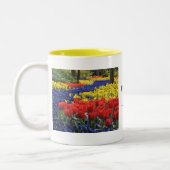 Blumen von Holland, Keukenhof Zweifarbige Tasse (Links)