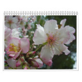 Blumen von Israel Kalender (Titelbild)