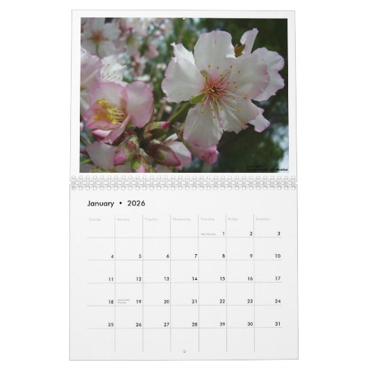 Blumen von Israel Kalender (Jan 2026)