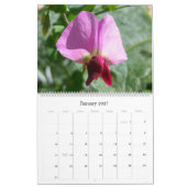 Blumen von Israel: Kalender 2017 (Jan 2027)
