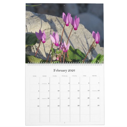 Blumen von Israel: Kalender 2017 (Feb 2026)