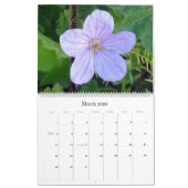 Blumen von Israel: Kalender 2017 (Mär 2026)