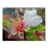 Blumen von Israel: Kalender 2017 (Titelbild)