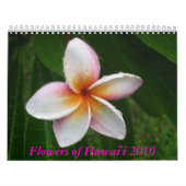 Blumen von Kalender Hawaiis 2010 (Titelbild)
