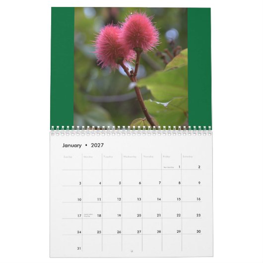 Blumen von Kalender Hawaiis 2010 (Jan 2027)