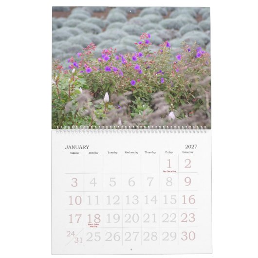 Blumen von Kalender Mauis 2008 (Jan 2027)