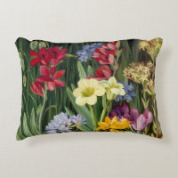 Blumen von Tulbagh, Südafrika von Marianne North
